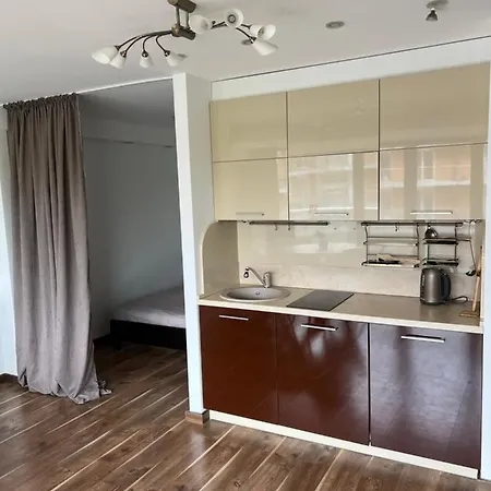 Apartment Cozy At The Heart Of Palanga